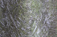 Besthorpe fibreglass roof work